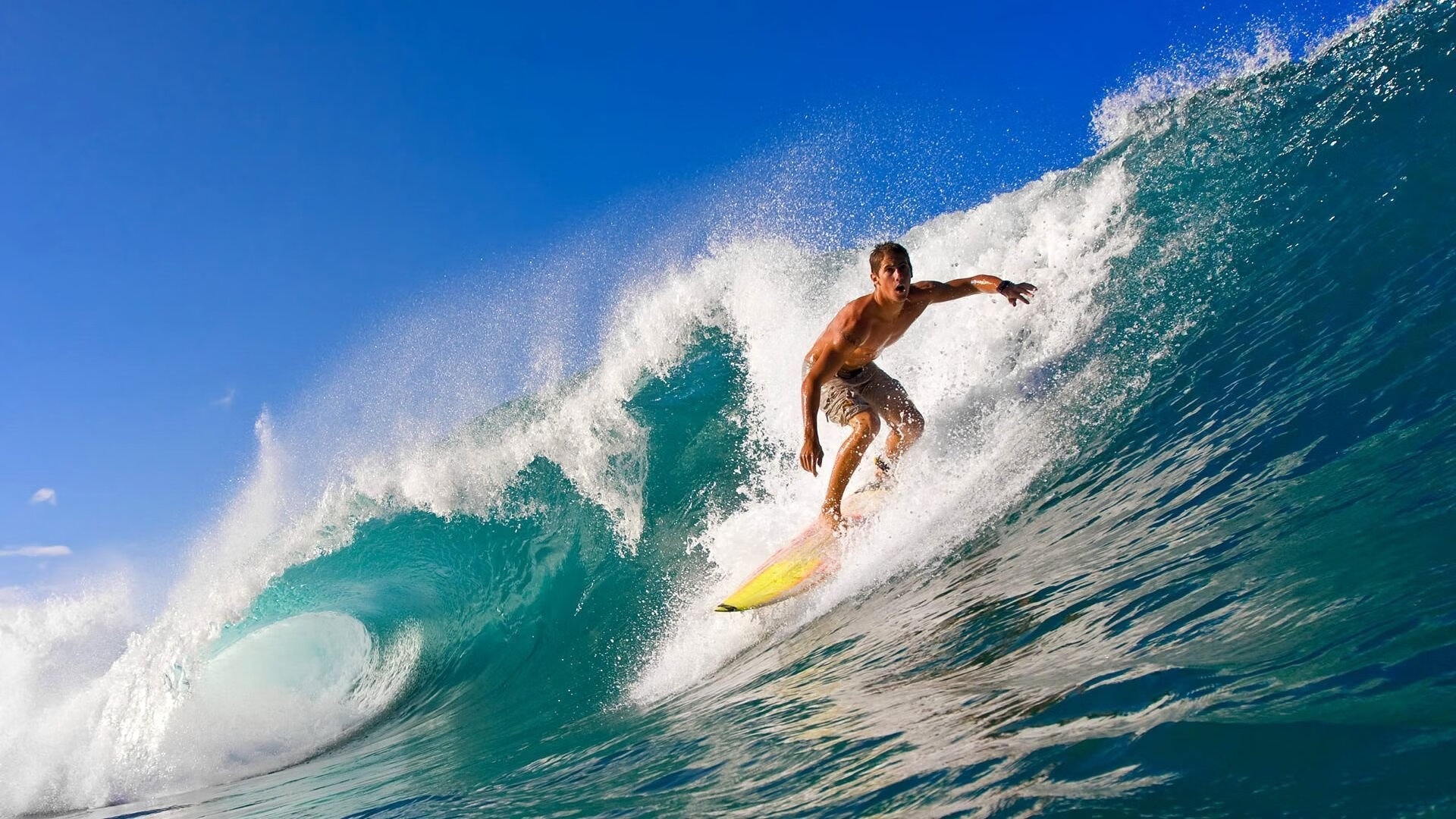 “彭尤蝶泳自由泳逐梦东京，实力再创新高”